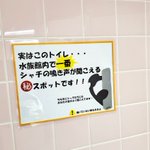 トイレが大人気になる？名古屋港水族館のトイレはシャチの鳴き声が一番よく聞こえる!