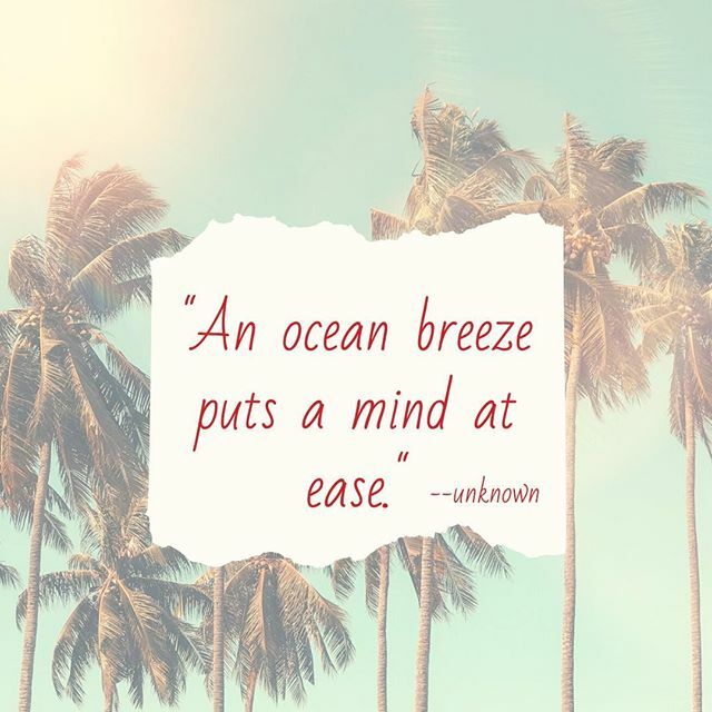 Aprilierre's tweet photo. Only Five more days until I depart on a trip with a long time girlfriend!  We each decorated a shoe box with a beach theme and at the end of each week we would stuff them with the leftover unspent dollar bills in our wallet. Three years later we are goin… https://t.co/1kMNXYzH4f https://t.co/URNkhD8iIS