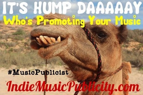 Happy Hump Day. from IndieMusicPublicity.com 👈👈 #humpday #musicpublicist #indiemusicpublicist #musicpromotion #musicmarketing #musicpublicity #promoteyourmusic