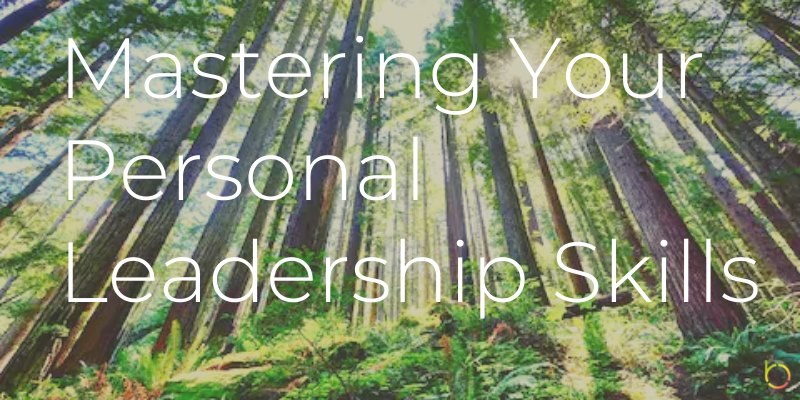 BeSocialChange's tweet image. Join @GMesrob, Bard College's MBA in Sustainability expert, for the Mastering Your Personal #Leadership Skills workshop on Mar 16. RSVP here: bit.ly/MasteringLeade…  #profdev #career