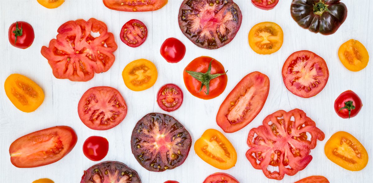 thomasfresh's tweet photo. Did you know? The scientific name for the tomato is Lycopersicon lycopersicum, which means, “wolf peach.” 🍅🍑
. 
. 
#producefacts #didyouknow #tomatofact https://t.co/ZMy1Xf3Ucu