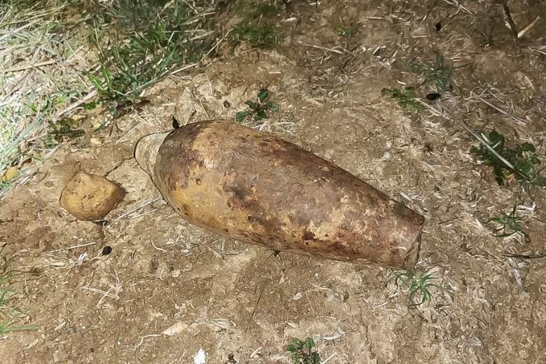 Foto cedida por Ayuntamiento de Torrejón