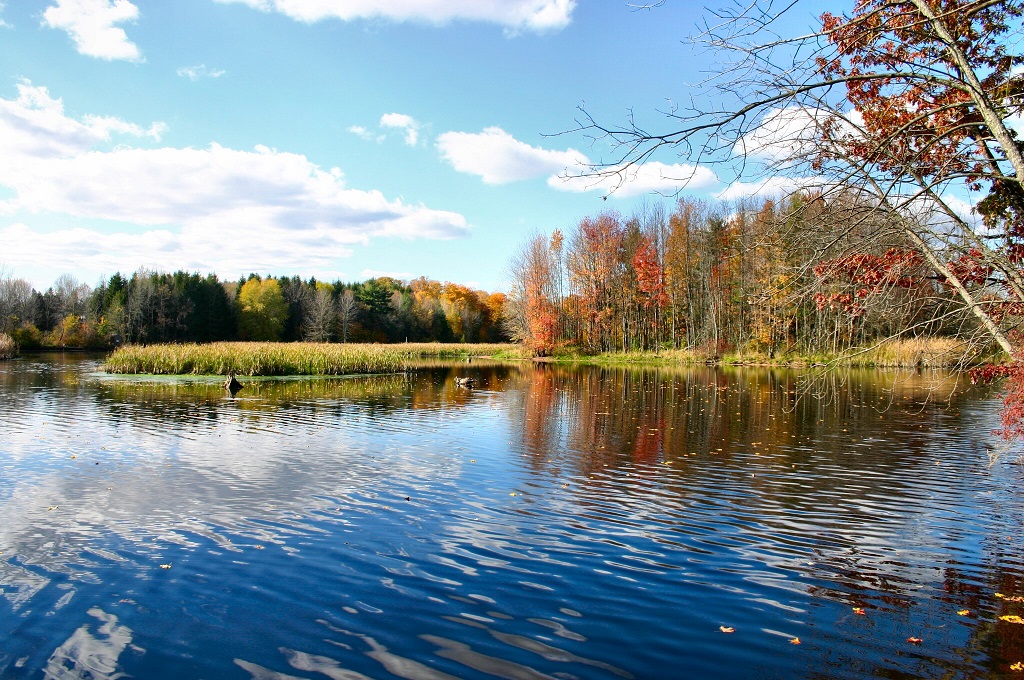 conont's tweet photo. Some Benefits of Our Natural Systems are:
🏕️Green spaces - reconnects us with #Nature
🐟Wetlands - improves water quality 
🌲Forests - improves air quality 
🥤Great Lakes - source of drinking water
#HeritageWeek #StepIntoNature https://t.co/Q6aET99CtB