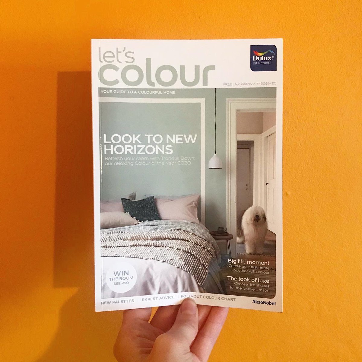 Chez_Studio's tweet image. When your parents stumble across you in the @duluxuk #LetsColour mag 🌴💕🍭🍑🌞🌸

Talking about my mural at #CroydonUniversityHospital &amp;amp; the @communityrepaint scheme at @FRPonline who provided the paint for the project! 👏 

If you find yourself in a DIY superstore...grab one 🕺