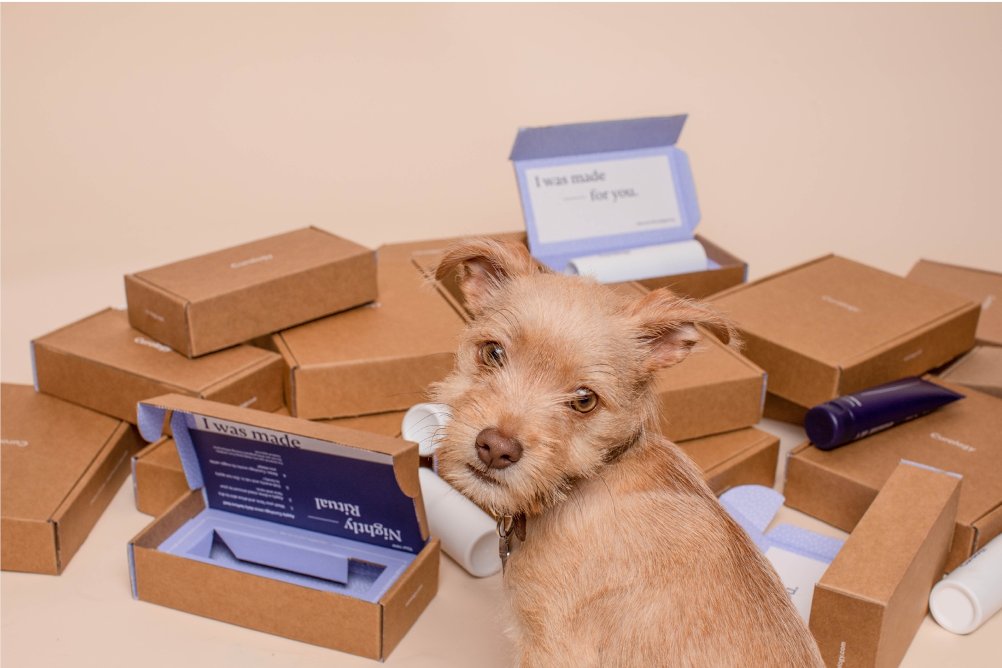 Codedesign2015's tweet image. Looking to grow your #subscriptionbox business? 📦 Check out our latest read on #contentmarketing for subscription based brands.
codedesign.org/content-market…