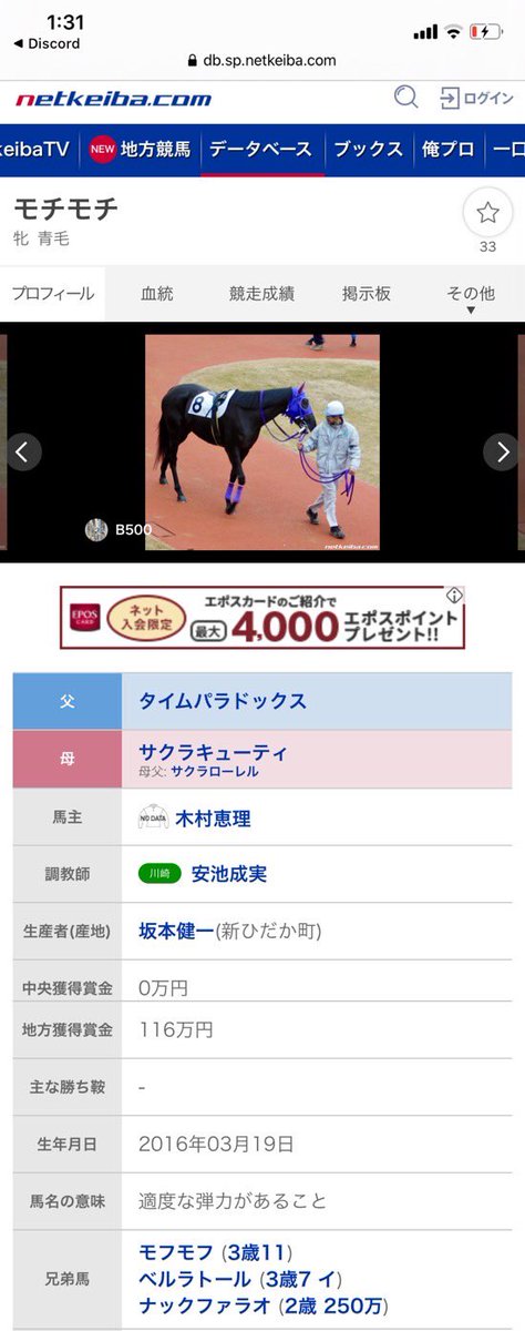 たす モチモチ という名前の競走馬かわいいよねと思って調べたら 名前の由来は 適度な弾力があるから だったし 兄弟馬に モフモフ がいた