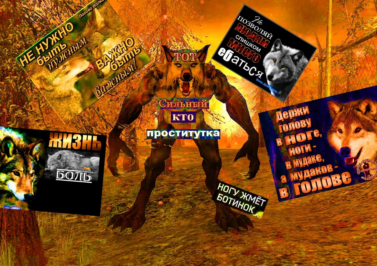 ERJvTuvWsAAHtJk?format=jpg&name=large