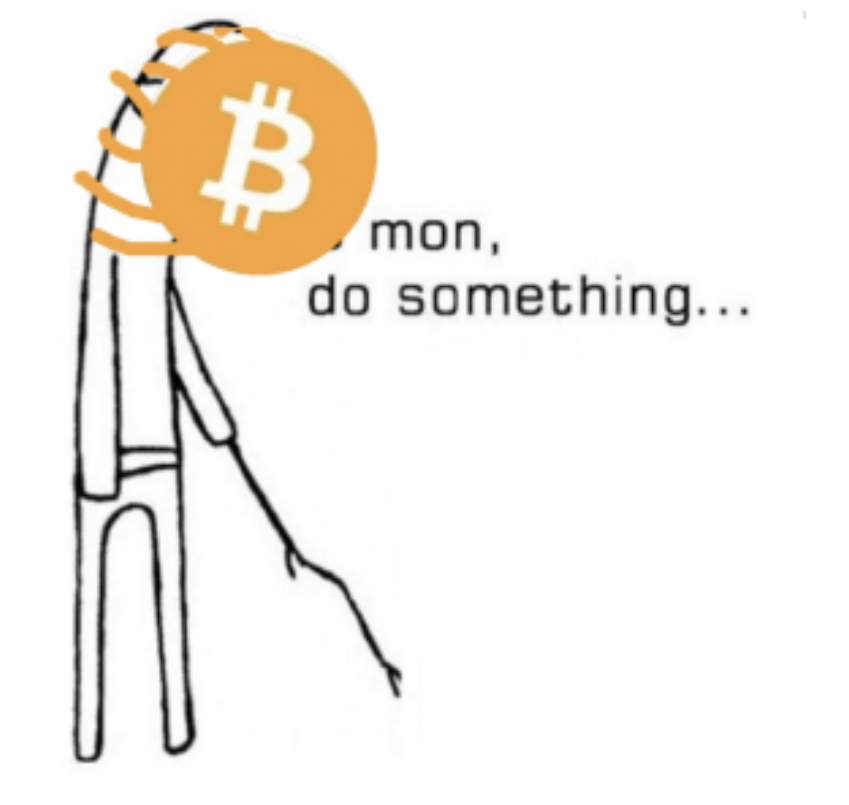 WaltherCrypto's tweet photo. @sunnydecree https://t.co/L4zxZmUtK3