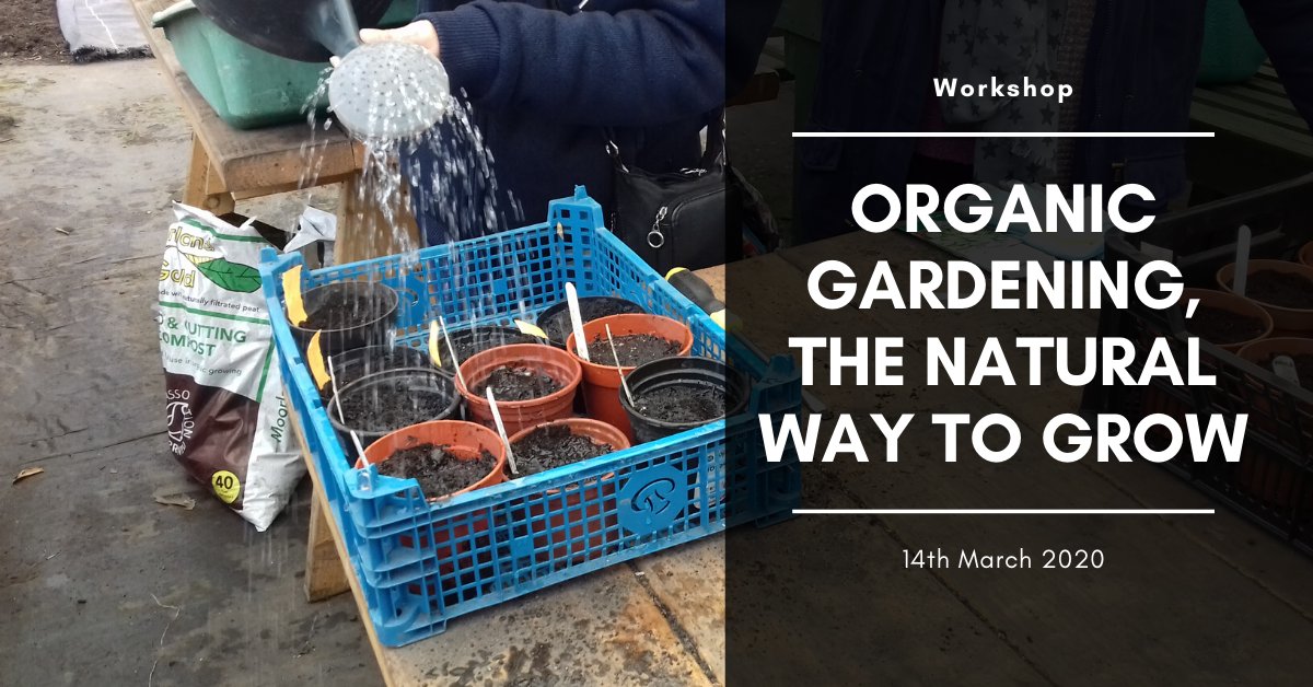 The Kindling Trust tweet media