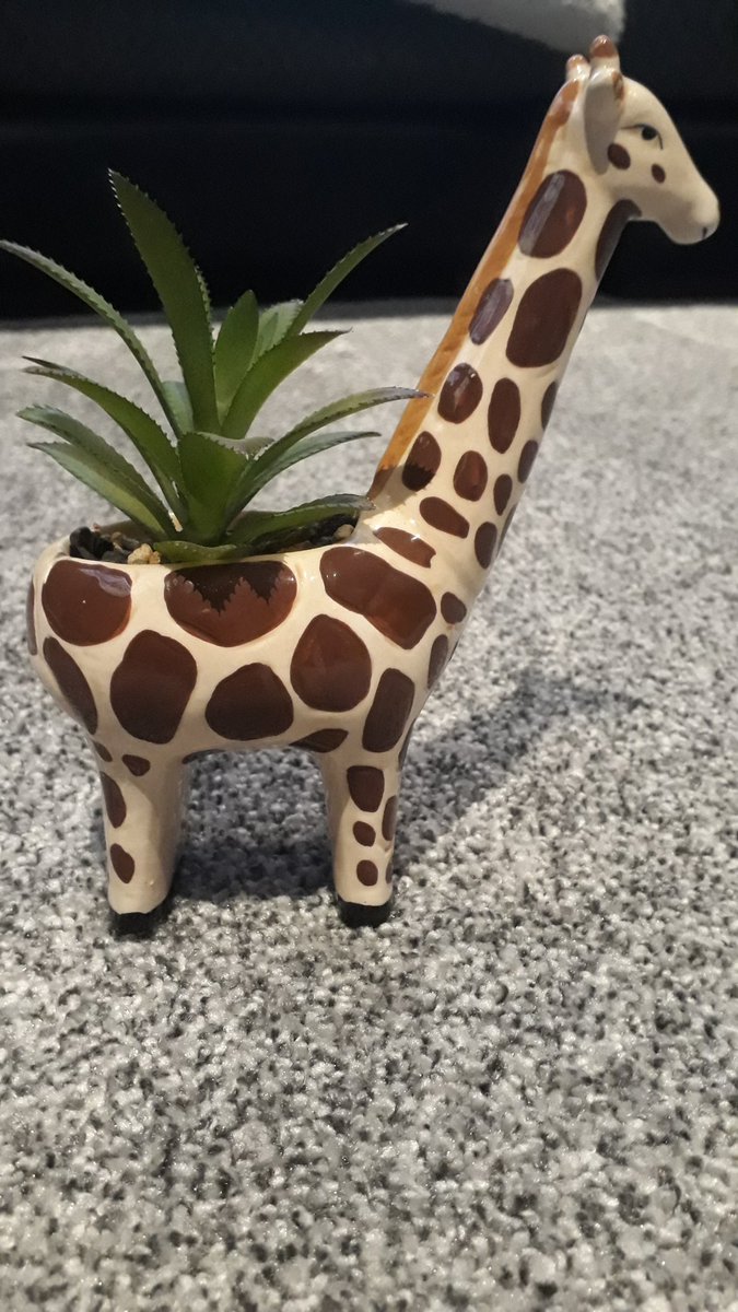 DeniseForsyth8's tweet photo. Bradley p1 used his eyes today to draw and copy this giraffe @BainsfordPS wider learning https://t.co/d8OQSAqmyC