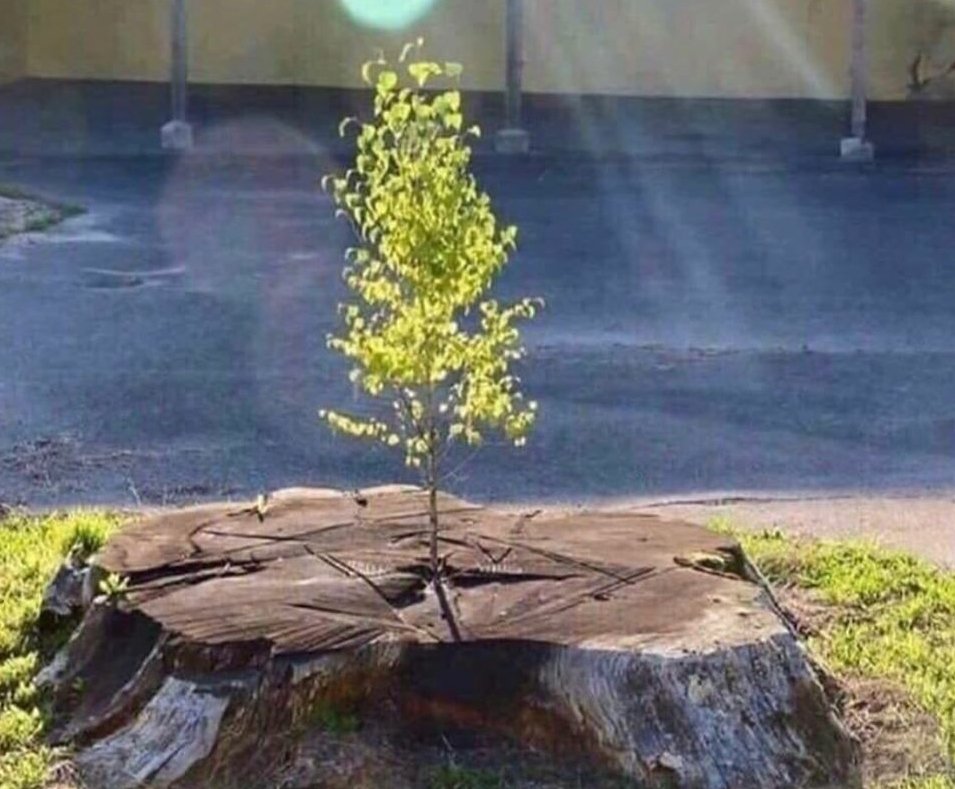 kevinamackenzie's tweet image. No matter what happens in your life, you can start over. #6amsuccess