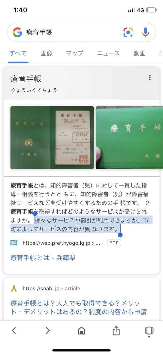 療育手帳制度 療育手帳制度