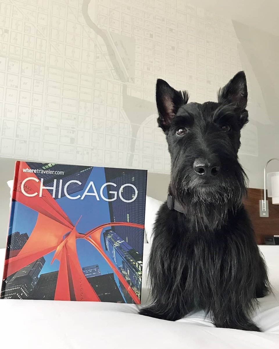 Discover a home away from home that you and your pet will love, like the handsome @HamiltonBarkley here!