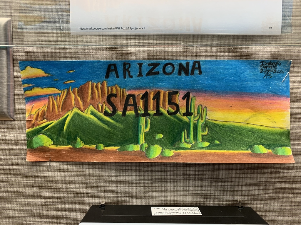SRMS Art Display.  Photography and License Tags