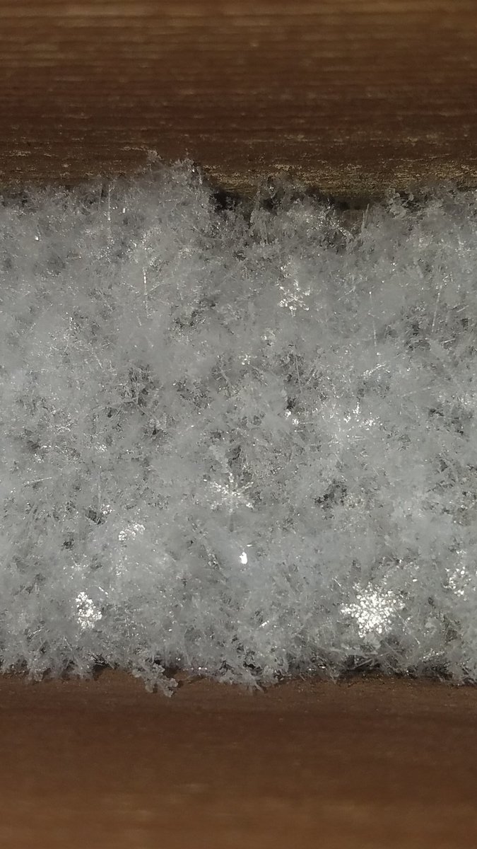 It's snowing. Again. And I'd be wicked pissed about it but I actually got a photo of shimmering flakes so now I feel like a wizard.