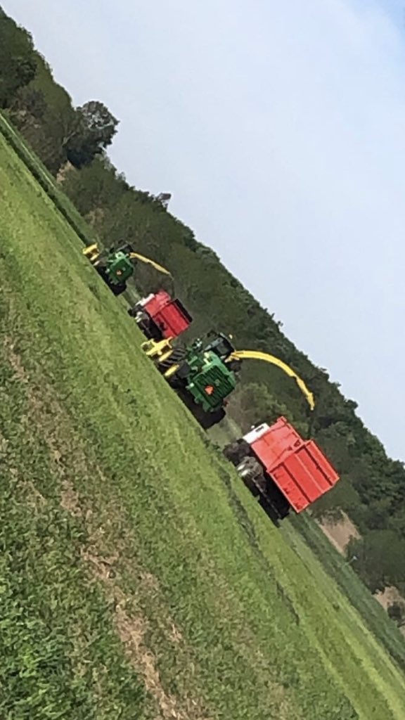 LooserRyan's tweet photo. Feltz Farms Ltd has an opening for an AZ Driver who also has experience operating various farm machinery.  Mechanically included is an asset.  Full time, long hours in busy seasons.  Competitive wages.                                    Please contact feltzfarmsltd@hotmail.com https://t.co/Ckuh4AZPjC
