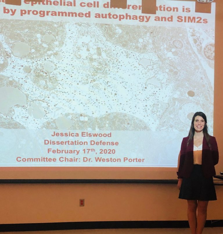 TAMU Genetics and Genomics tweet media