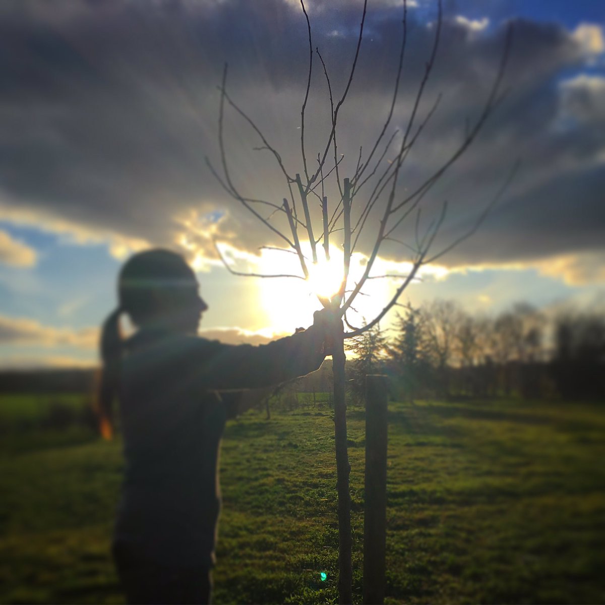AuPerisson's tweet photo. 1ère session 🌳aujourd’hui nous avons planté : 1 Albizia (Isabelle & Eric) 1 Pommier (Cécile & Johanne) 1 Prunier & 1 Ginkgo Biloba (Françoise & Philippe) 1 Magnolia (Sophie & Dimitri)... merci 😘 #auperisson #ecoresponsable #teamtrees
@brunepoirson @Elisabeth_Borne https://t.co/xvs4KO3Y3s