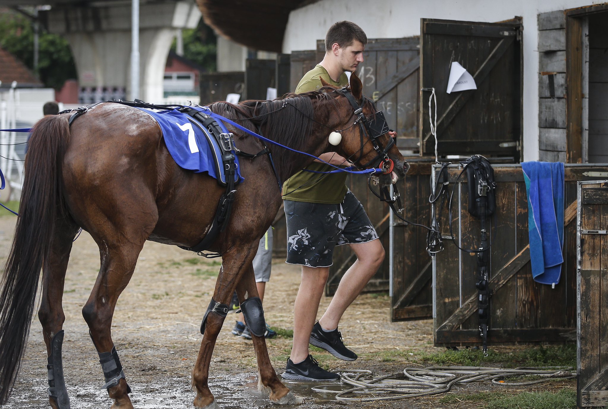 ERK6gEuW4AETWQ5?format=jpg&name=4096x409