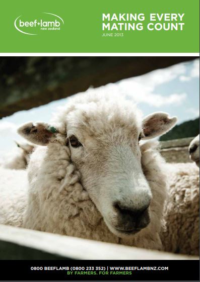 Beef + Lamb New Zealand on Twitter: Beef + Lamb New Zealand on Twitter: