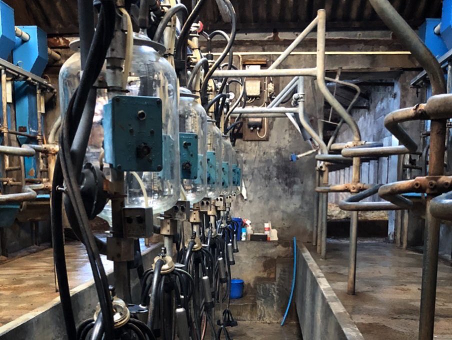 Our milking parlour is a 24:24 rapid exit from Delaval. This means it holds 12 cows down each side and has 24 clusters. It’s a huge change from our old herringbone 6:12 which we had for the last 30 years (swipe to see it). We milk 80 cows twice a day - 5am and 5pm