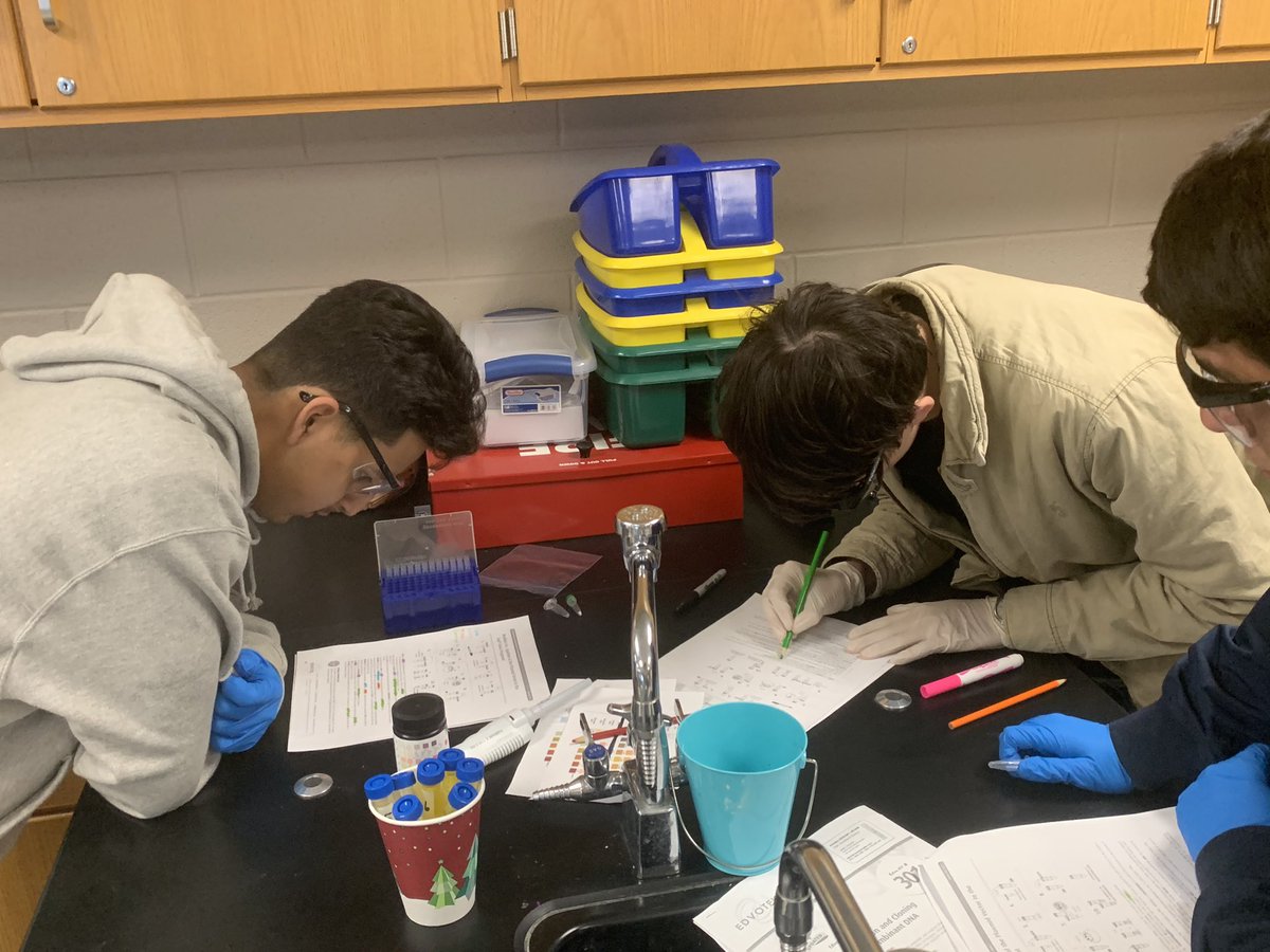BI started Mission 6 lab today!  This is a 2 week lab!  We will let ya know how successful we were are ligated the kan gene into our plasmids!