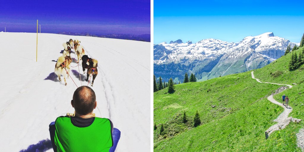 EDPglobalDMCs's tweet photo. Welcome Swiss adds exceptional creativity, originality and flair to group events. Imagine dog sledding with your group!

Send us your RFP &amp; see what Welcome Swiss can do for your event!
➡️ https://t.co/DUWxL1CEJA

#MICE #eventprofs 📸@welcomeswiss event + summer alps https://t.co/XEcjKyyERl