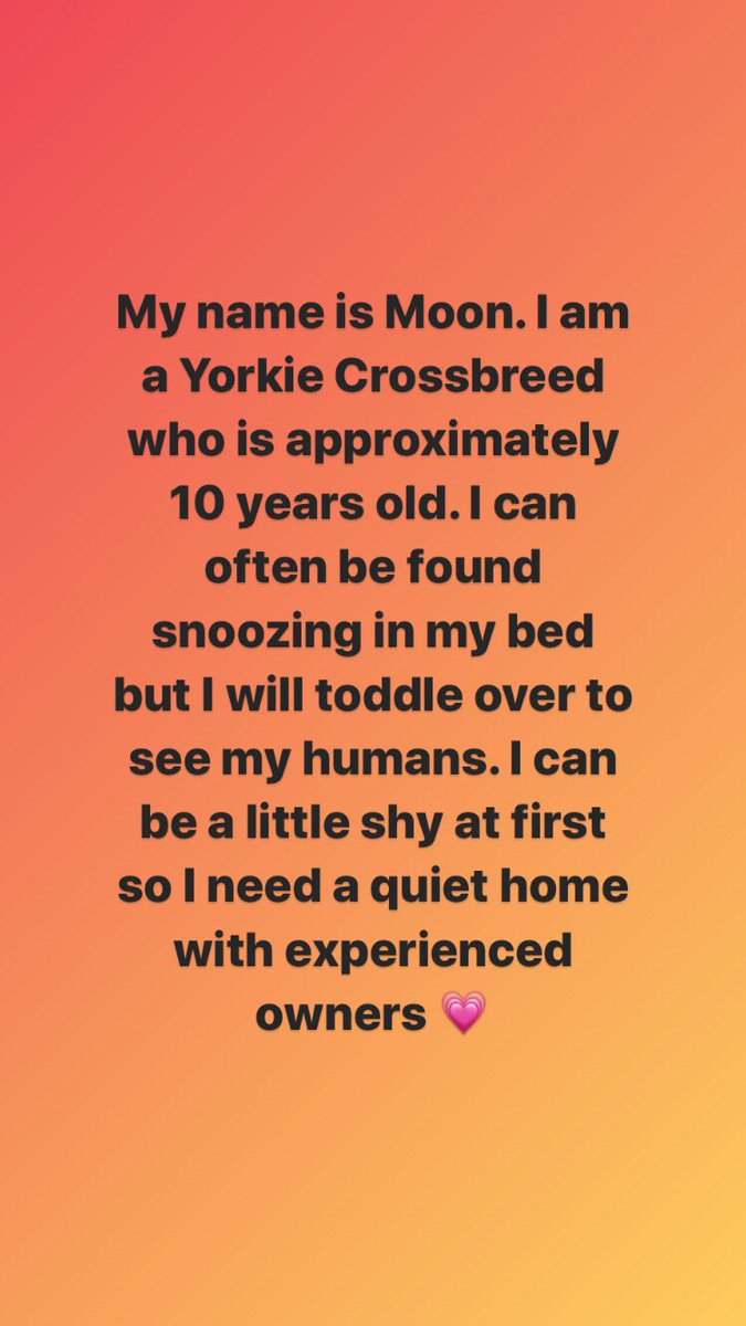 NCLDogCatSheltr's tweet photo. It is Moonโs turn to be featured today & he managed to smudge his sign in the excitement of it all ๐
For all enquiries about Moon, call our team on 0191 215 0435 or visit our Benton Rehoming Centre. Our opening times are:
Weekdays 1pm-6pm
Weekends 12pm-5pm
#FriendsOverTrends https://t.co/uiiNVHUN2G