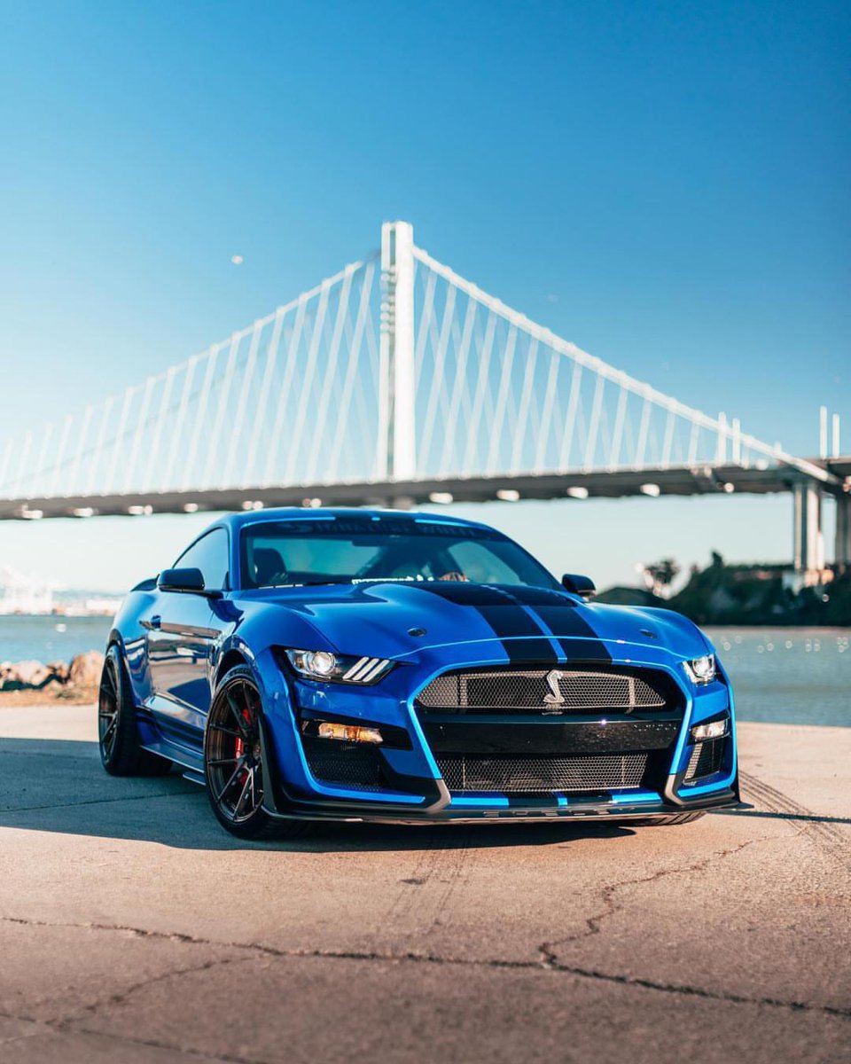 FutureFord's tweet photo. Absolutely groundbreaking. #GT500
#ShelbyGT500 📸: j.vizualz/IG https://t.co/iT2zAmDRaL