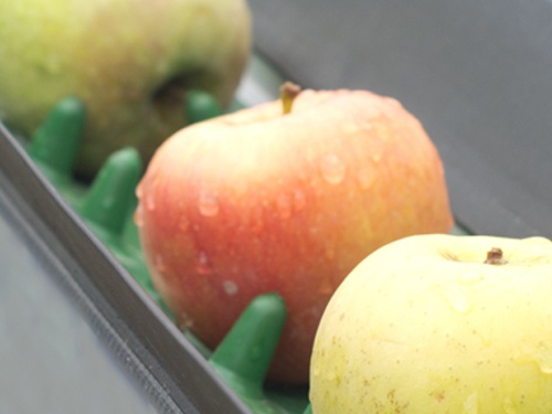 Postharvest_Dir's tweet photo. The  shelf-life extension technology by @NatureSeal includes formulas for home use, #foodservice, and #processors such as #Fresh-Cut #Fresh-Frozen #Dehydration #Organic #Bananas #Root_Vegetables https://t.co/gLEi9mDovJ https://t.co/JJzC6Dl76n