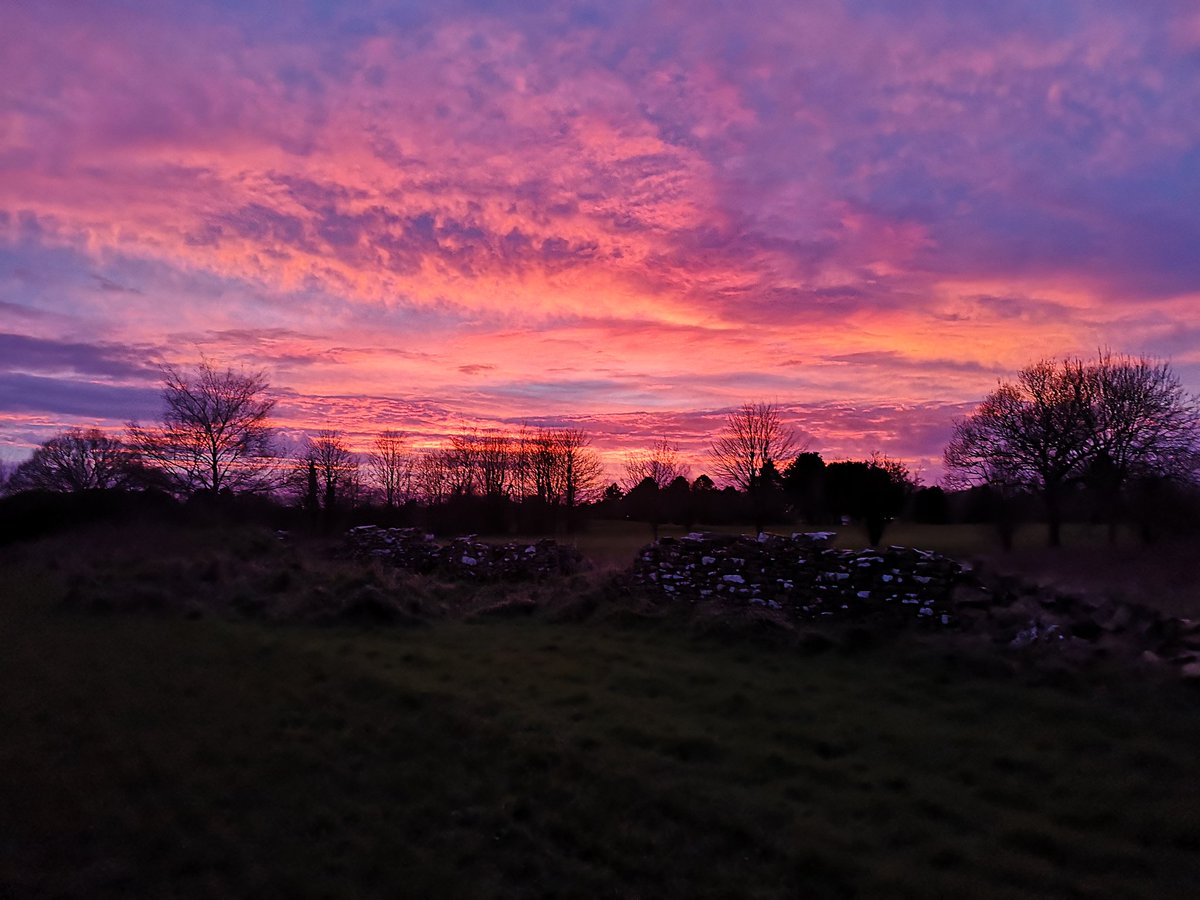 NewMacsFarm's tweet photo. @clairerendall1 I was just outside taking photos of the sunset too! #NoFilterUsed https://t.co/QG4W4CHdhg