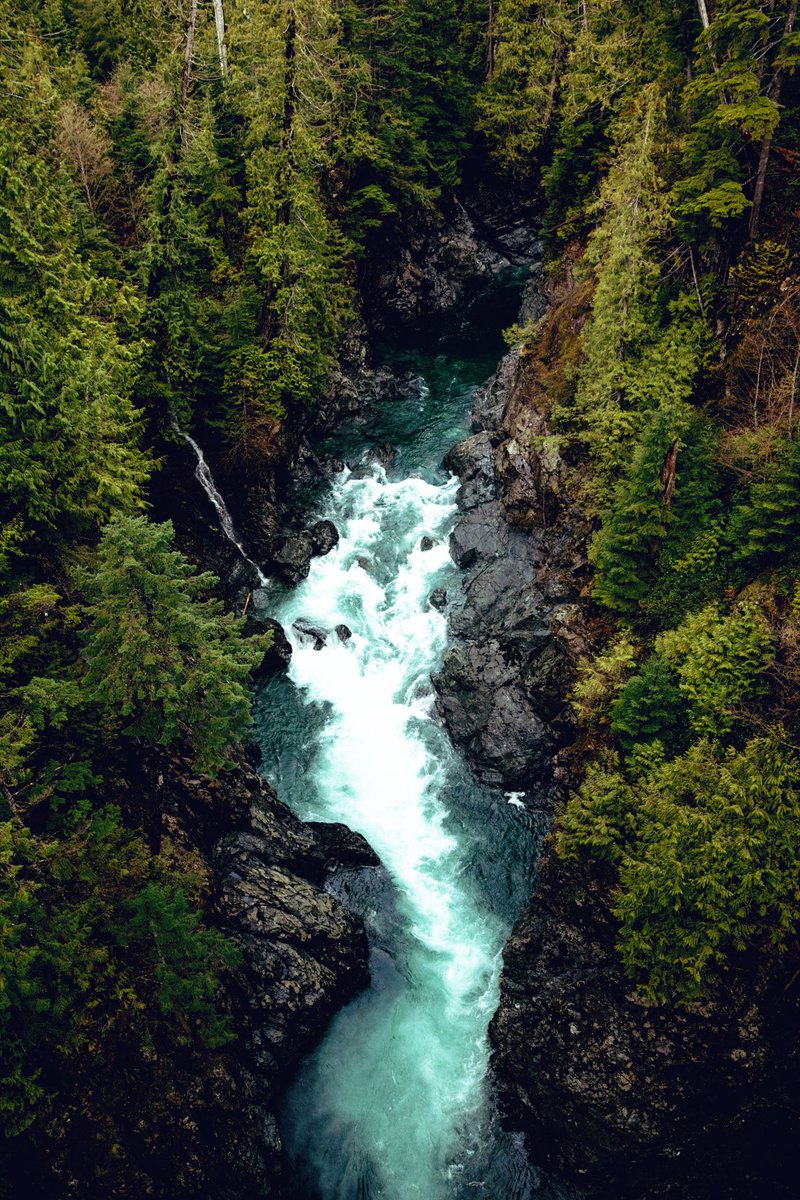 bertymandagie's tweet photo. Vancouver Island is too beautiful.. my goodness. 👀 https://t.co/mCW9CE2PQO