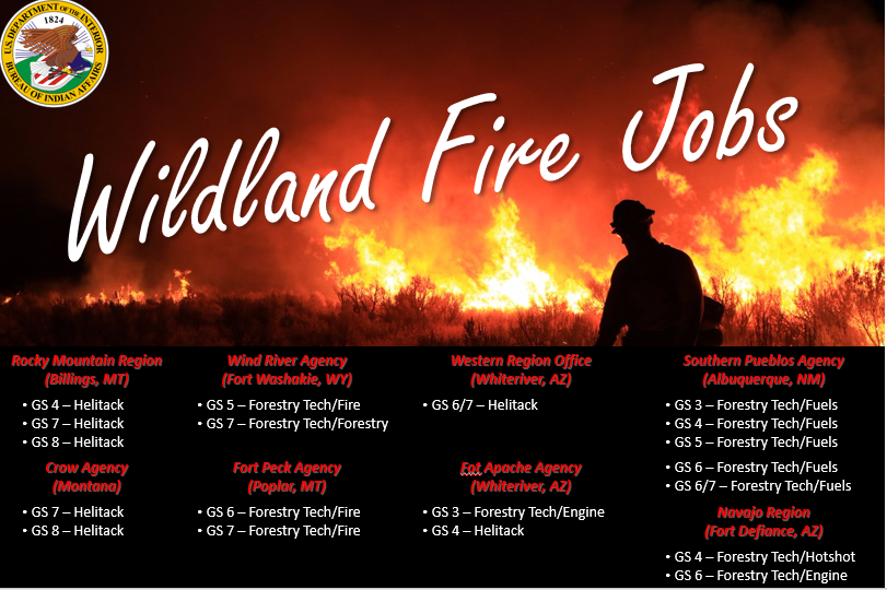 USIAJobs's tweet photo. NOW Hiring #FireJobs! Apply through @USAJOBS . Links to jobs announcements and required forms are located in the link below. Opportunity closes in 3 days! 
https://t.co/OI3n121OhP https://t.co/9Pz7AKfg99