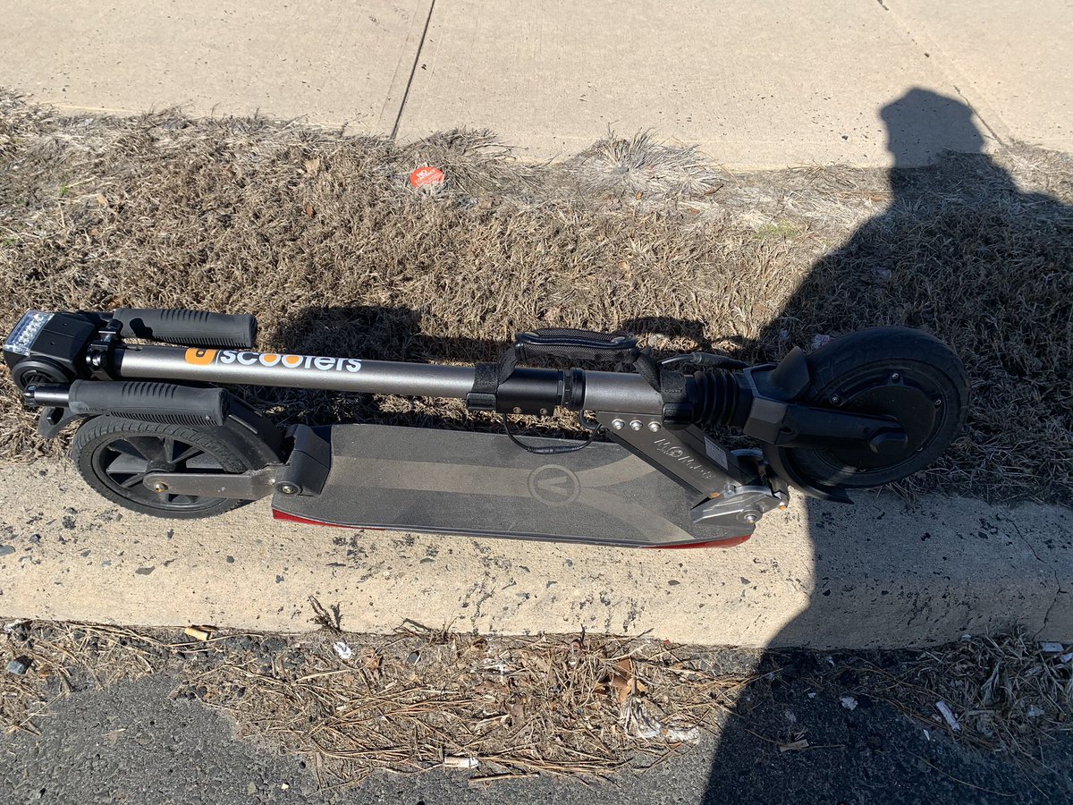 Nat Candido tweet media