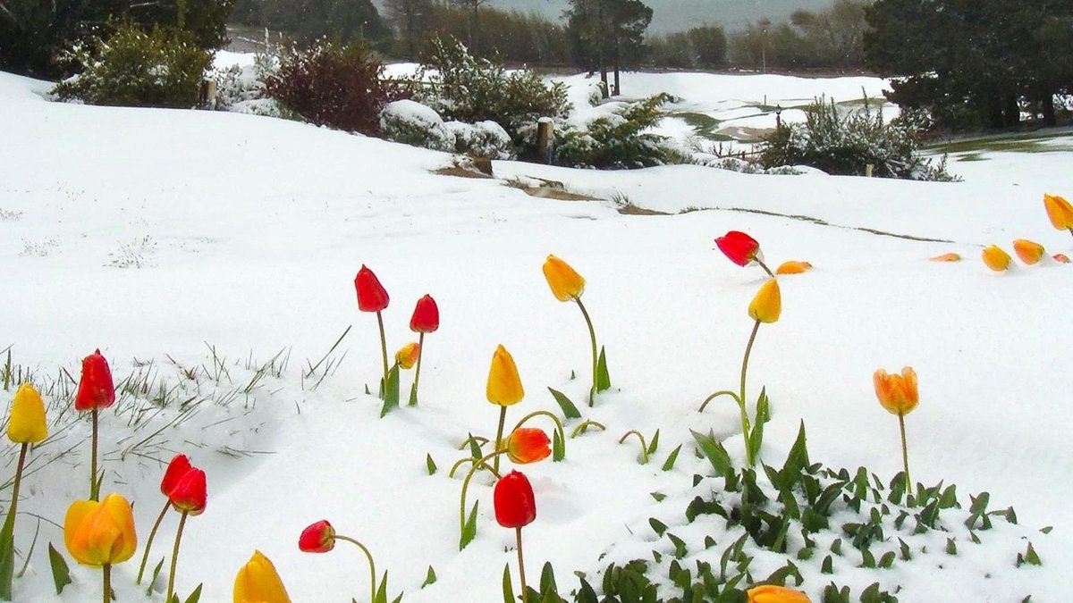 moonmiun✨ cameback like a kpop idol tweet media