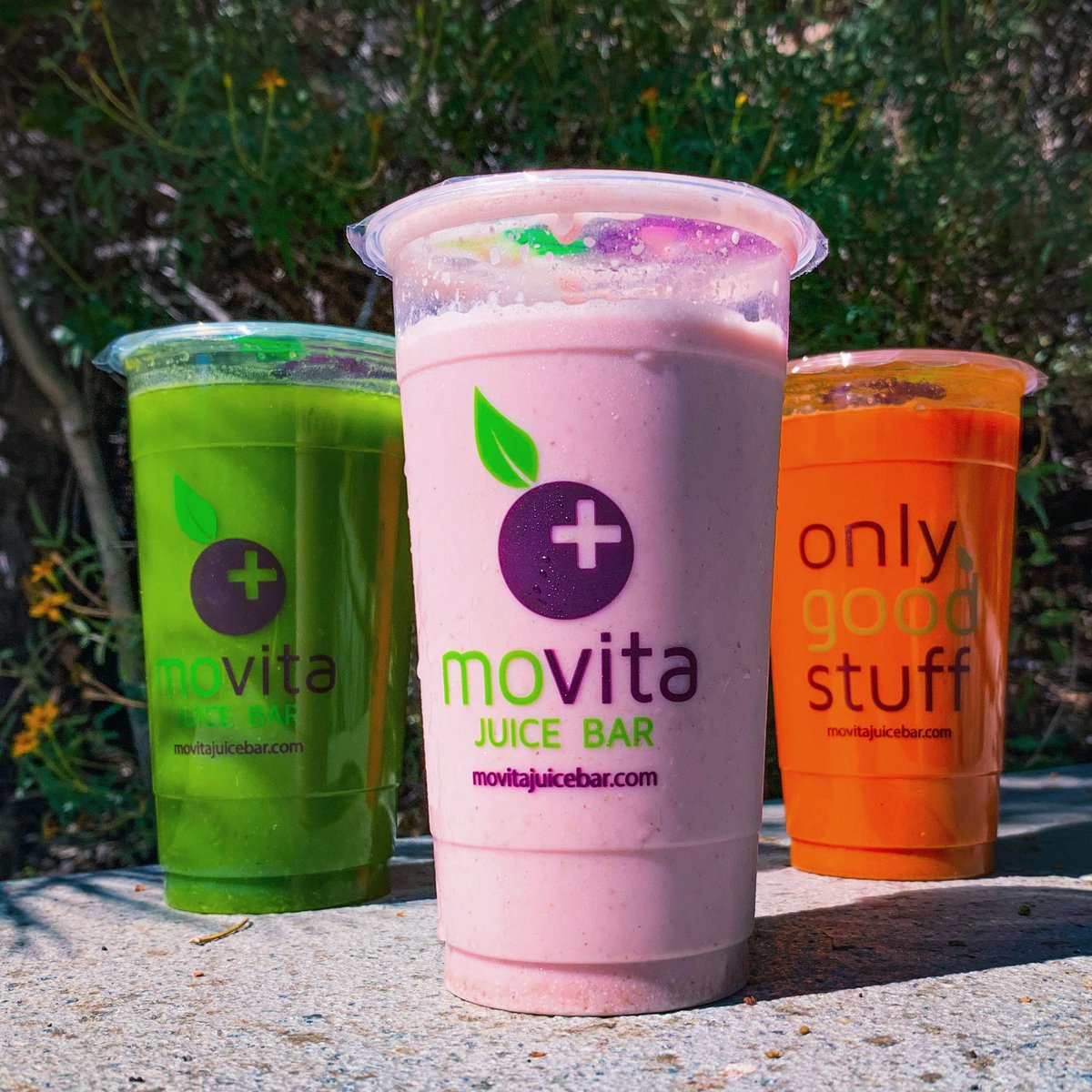 movitajuicebar's tweet photo. Sightseeing is always best when in good company!
#onlygoodstuff #maxelerator #fibergreen #berrypowerful #juicing #smoothies #healthychoices #theviewfromhere #stayactive #beautifulcalifornia https://t.co/AmxaJrRxI8