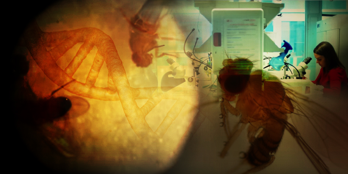 Dr. Josefa González tweet media