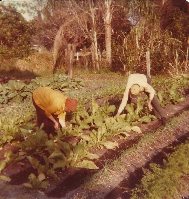 sawpine9's tweet photo. Granny & Grandaddy working in the garden 1978 Samoset, Fla. Think about them every day.
#samoset #corley https://t.co/mheSNjLcOw