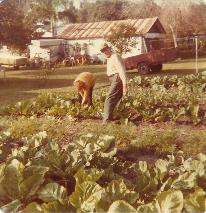sawpine9's tweet photo. Granny & Grandaddy working in the garden 1978 Samoset, Fla. Think about them every day.
#samoset #corley https://t.co/mheSNjLcOw