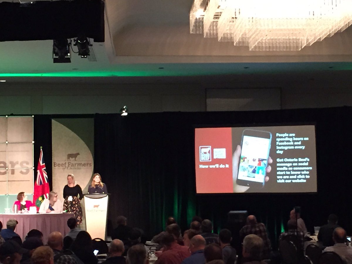 BeefFarmersON's tweet photo. Getting an update on @OntarioBeef #ConsumerEngagement from #BobsYourUncle Agency, a great partner working with #BFO to promote the #OntarioBeef brand! #eatbeef #BFOAGM #LetsTalkBeef https://t.co/do0NmDtViY