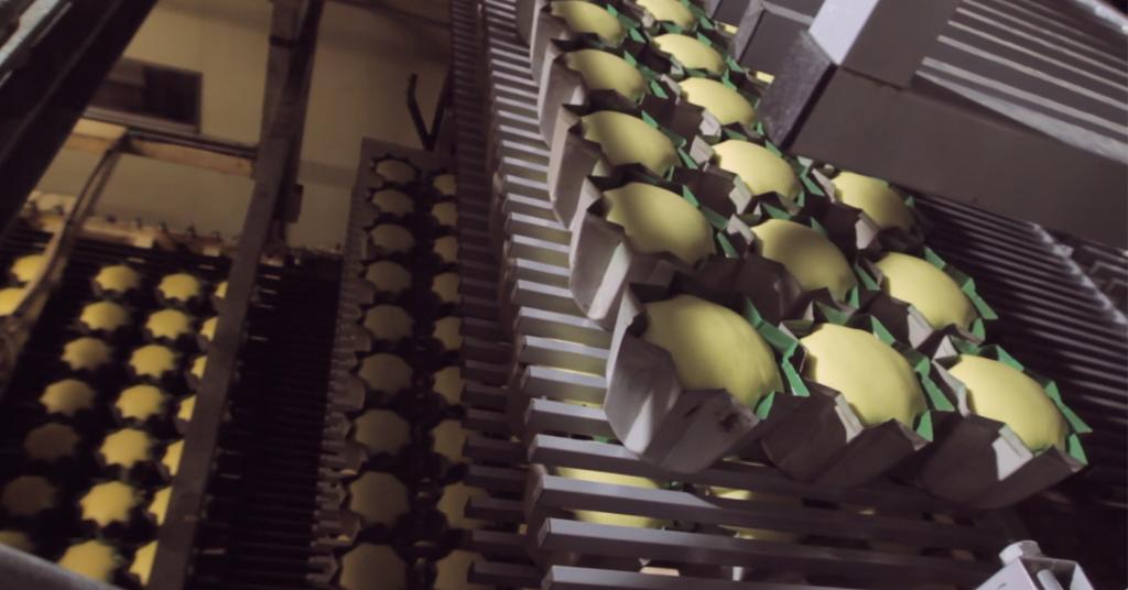 CiscoPartners's tweet photo. DECO Industrie needed a modern way to gather data and connect machines. See how #Partner @vemsistemi provided the #tech needed to turn their production into a #smartfactory 🏭: https://t.co/nOpsKMQywL https://t.co/wRAAj4PG64