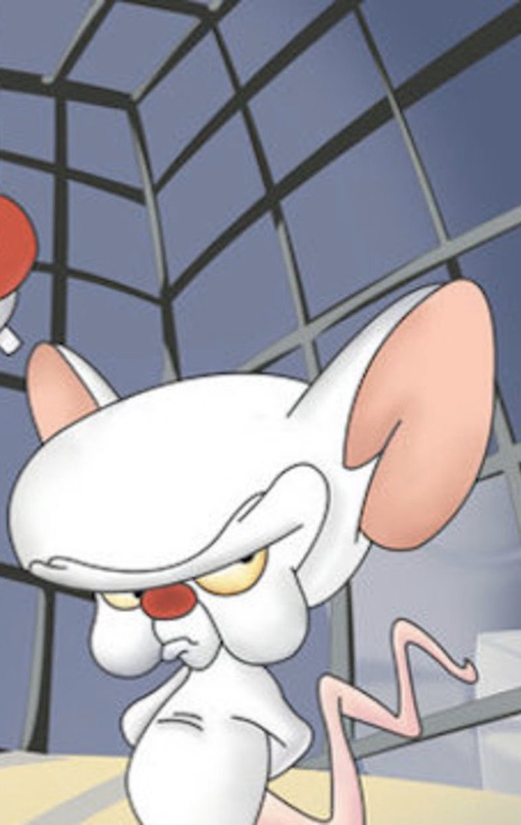 _xochass's tweet photo. Y’all doesn’t my nephew look like The Brain from Pinky and The Brain? 😂😂 https://t.co/JxInjcsFEx