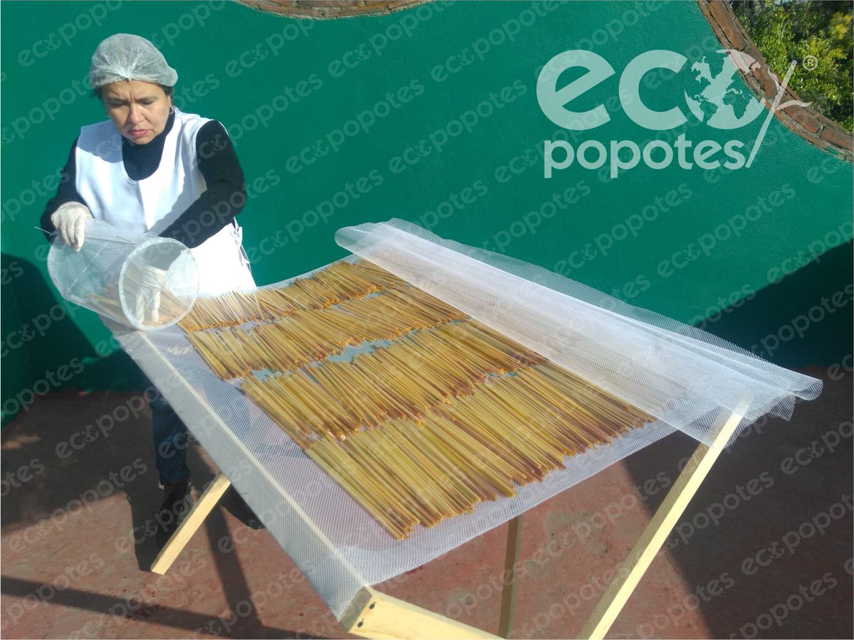 Ecopopotes tweet media