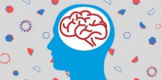OSSEDC's tweet photo. 🗣️Coaches and leaders! Interested in learning about building the emotional intelligence of new teachers in your LEA? Join us on March 3 for the Systems for Building Teachers’ Emotional Intelligence Community of Practice.

➡️https://t.co/8XyhdNY0u0

#OSSEPDAlert https://t.co/WwbM1o61NY