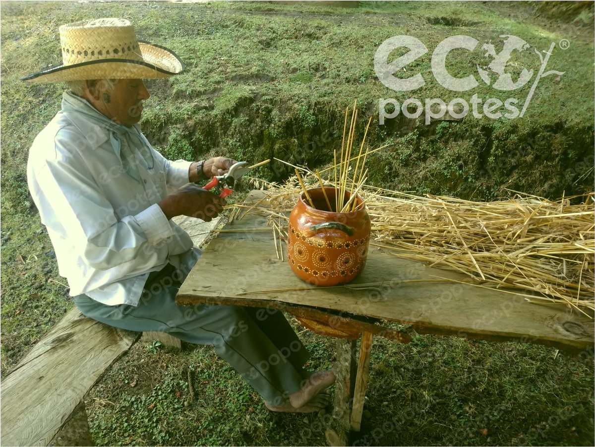 Ecopopotes tweet media
