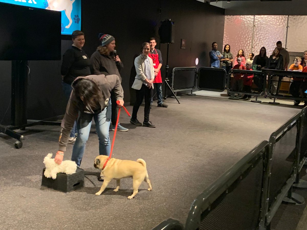 SFHBoston's tweet image. Olivia from @theurbanhound and Leah our #DogCareAcademy Coordinator presented about the #jobtraining portion and fielded questions of our program, while #UrbanHound Trainer Kim and her pug Moose got to show off some dog tricks for the crowd!