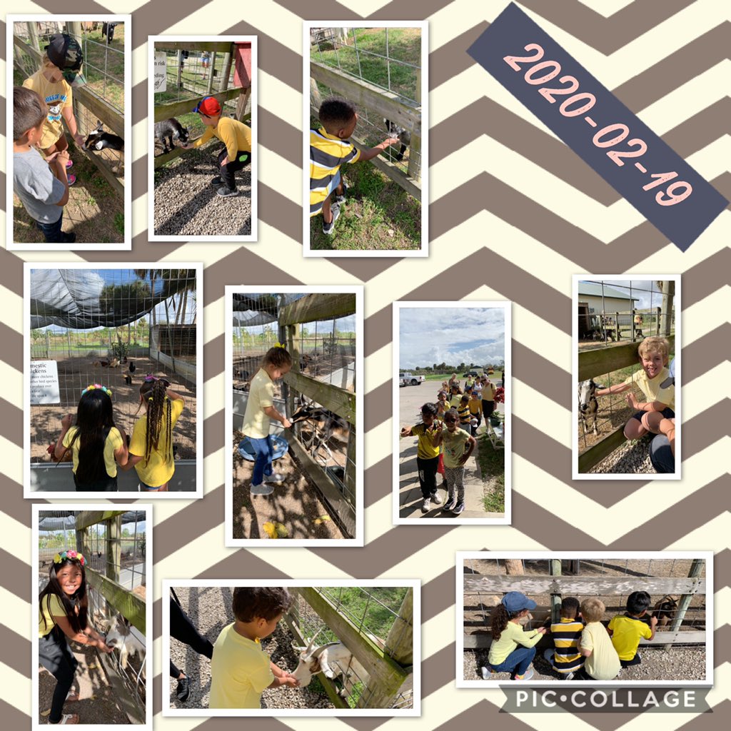 What a perfect day! We were able to pick our very own strawberries 🍓, mine for gems 🐚⛏💎 and sharks teeth and also take a tractor ride 🚜 to see animals 🐓🐴🐐🐖!  <a href="/VillasElem/">Villas Elementary</a> #31Produce #firstgradefieldtrips