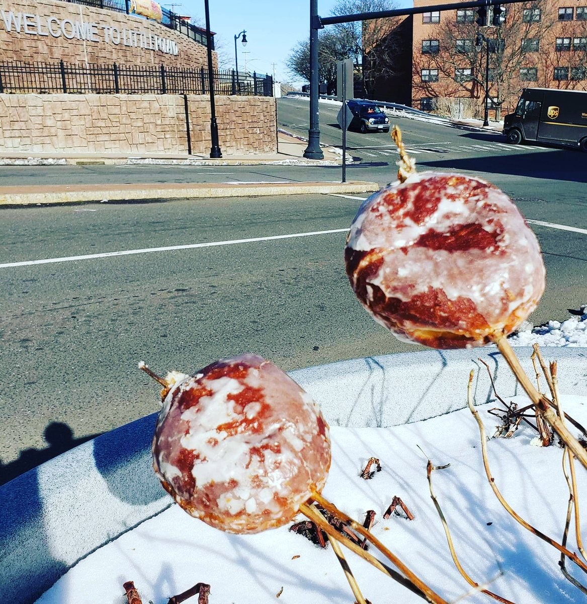 It's a good crop this year.

Spring is just around the corner in Little Poland.  We even noticed pączki are starting to bloom just in time for tłusty czwartek or Fat Thursday this week.

You can buy pączki throughout New Britain's Little Poland.