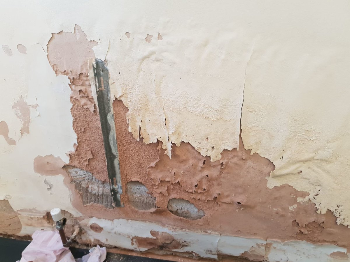 CureDamp tweet media