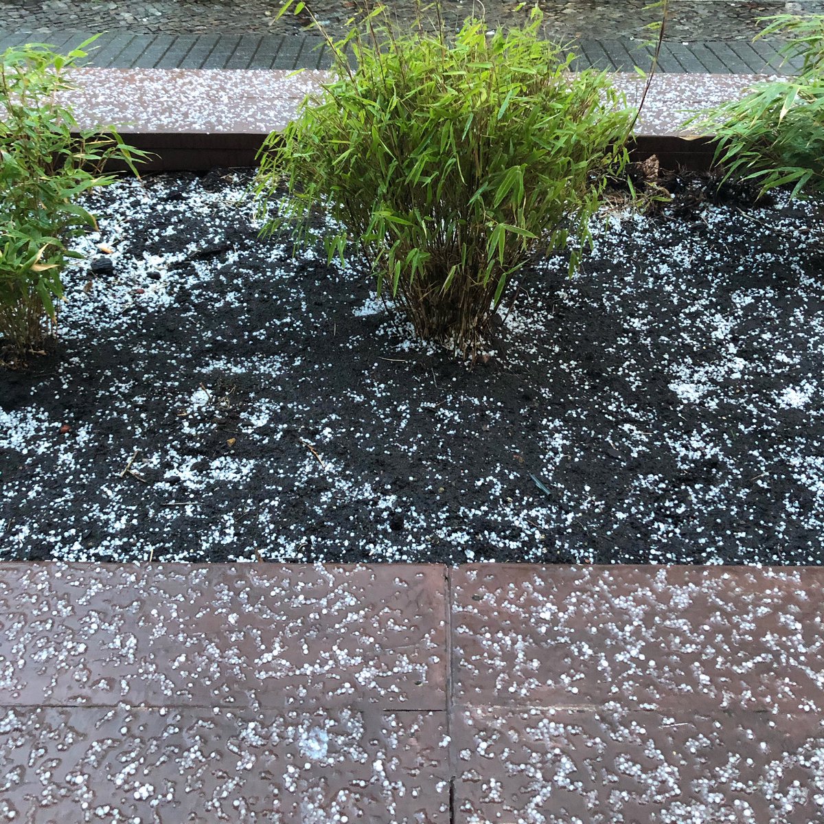 angiepagnotta's tweet photo. ❌••• Día 470⁣•••❌⁣⁣ Y camino a meeting de @BerlinSomos, me encontré con granizo. Postales de un invierno que apareció después de días más cálidos, a veces es así. •••••••••••••••••••••••••••••••••••••••
#CrónicasBerlinas https://t.co/WDE7Qq77Kb